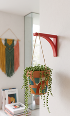 Support mural pour plante suspendue - Crochet moderne pour pot de fleurs - Patère design - Décoration colorée